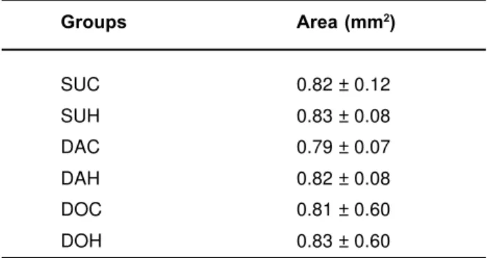 TABLE 2- Mean values of cross-sectional area (mm 2 ) and standard deviations obtained for the experimental group