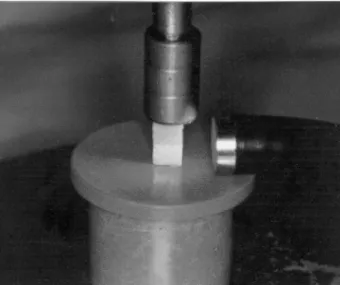 FIGURE 3-  Sample constituted by ceramic and resin block after cementation