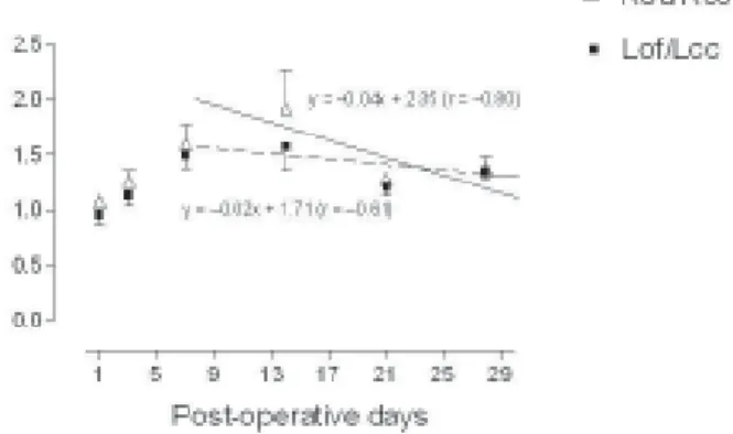 FIGURE 6-  Ratios of  99m Tc-MDP uptake in tibiae of rats. The straight lines represent the linear regression calculations of the descending part of the curves