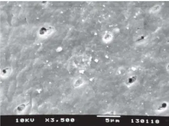 FIGURE 4- SEM of a 24% EDTA group specimen showing a root surface without smear layer with the dentinal tubules partially open (score 3)