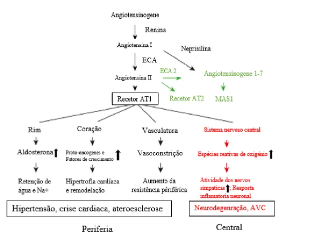 Figura 2- Cascata da angiotensina levando à neurodegeneração, adaptado de Quiterrer e AbdAlla, 2019