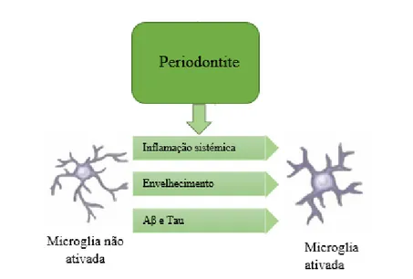 Figura 6- Ativação microglial, adaptado de Teixeira e al., 2017 