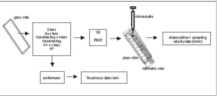 FIGURE 1- Scheme of study groups and experimental conditions