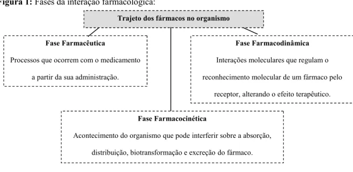 Figura 1: Fases da interação farmacológica: