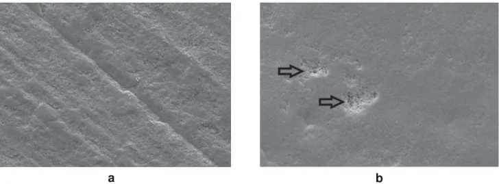 FIGURE 10- SEMs of ground (10a) and intact (10b) enamel surfaces treated with Unifil Bond self-etching primer