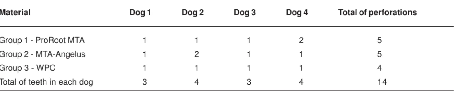 TABLE 2- Distribution of the materials in the four animals prefaced a total of 14 perforations