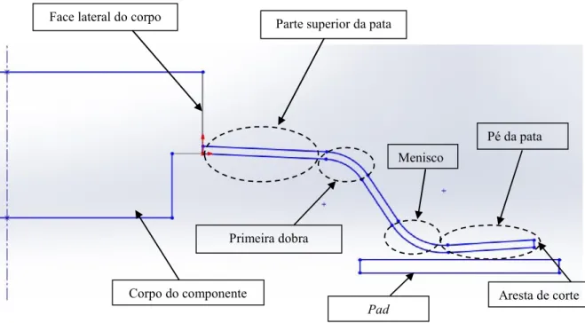 Figura 29 - Denominação das várias zonas do perfil de dobragem de uma pata.