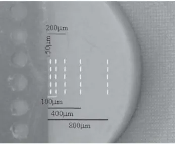 FIGURE 2- Locations of Knoop penetrations from the Co- Co-Cr metal framework