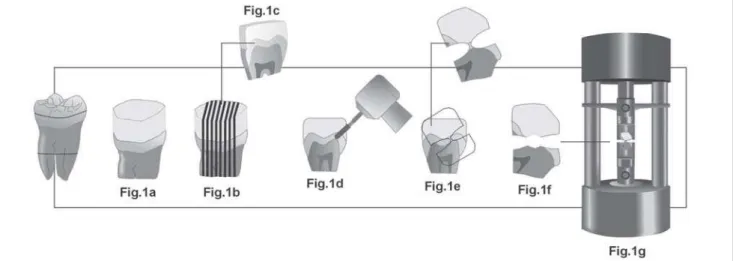 FIGURE 1- Schematic representation of specimen preparation (1a- composite placed over enamel oclusal surface to facilitate the microtensile bond strength test; 1b- tooth vertically sectioned into some slabs; 1c- 0.7-mm thick slab; 1d- slabs were trimmed wi