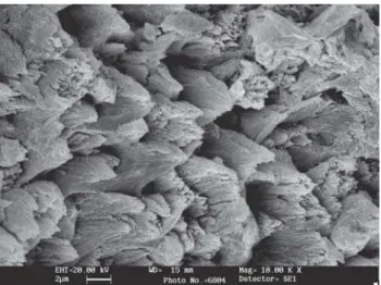 FIGURE 4- Fractured enamel surface of bleached specimens with 10% carbamide peroxide containing 0.5%