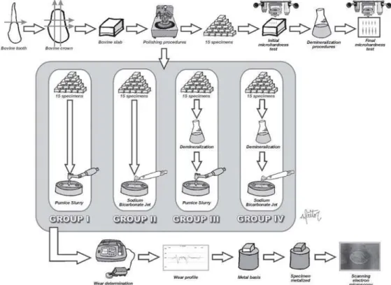 FIGURE 1- Flowchart illustrating the study design