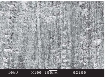 FIGURE 1- Micrograph of not scaled root surface. Note the root surface smoothness. Original magnification 100x