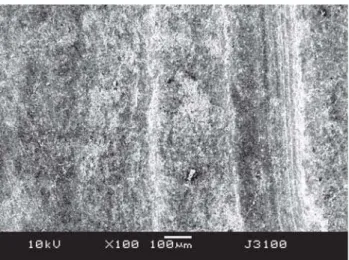 FIGURE 3- Micrograph of root surface instrumented by ultrasonic scaler. Note the rougher surface