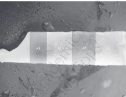Figure  5.  Tibia  section  the  osteotomy  where  the  piezoelectric  film  was  placed