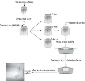 TABLE 1- Composition of materials used in restorative procedures
