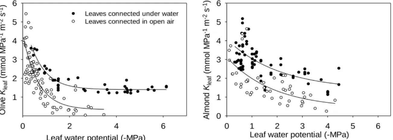 Fig. 1. Vulnerability curves for K leaf  for (A) olive and (B) almond determined using two approaches (petioles cut  under water-black circles or in air-white circles) to test the effect of air entry into xylem conduits upon cutting the  petioles