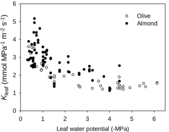 Fig. 2. Comparison  of  vulnerability  curves  for K leaf   for  olive  (white  circles)  and  almond  (black  circles)  estimated  using DRKM