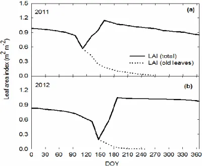 Fig.  3.  Tree  leaf  area  index  (LAI)  during  2011  (a)  and  2012  (b).  The  dash  line  represents  LAI  of  old  leaves  matured in the previous spring