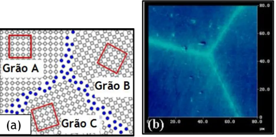 Figura 10 - Esquema de fronteiras de grão (a azul), a nível atómico, que separam três grãos distintos  (a) [37] e imagem obtida por SPM de três grãos separadas por fronteiras de grão (b) [38]