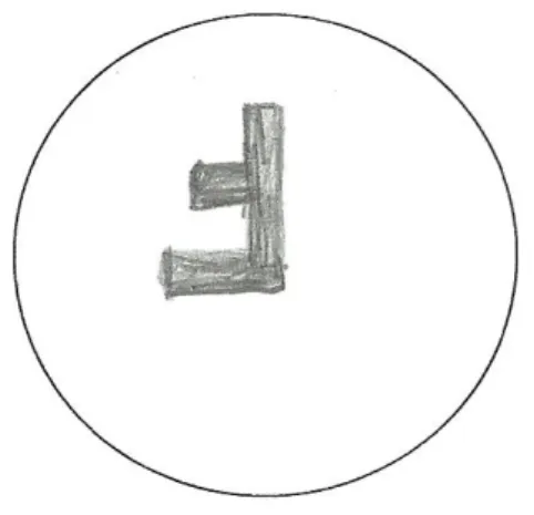 Figura 1 - Registo de imagem vista ao microscópio 