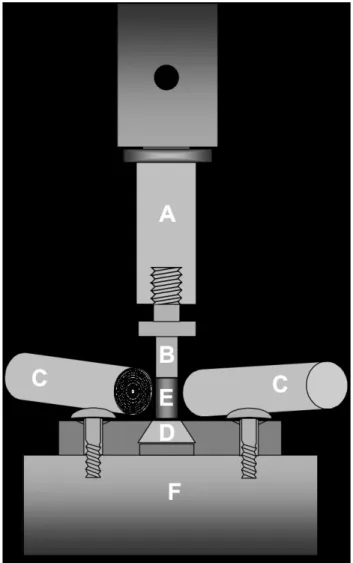 FIGURE 1- Polymerization stress testing configuration. (A) upper portion of the system, connected to the load cell; (B) cylindrical metallic device; (C) photoactivation units in position; (D) lower metallic mould with central hole; (E) composite specimen; 