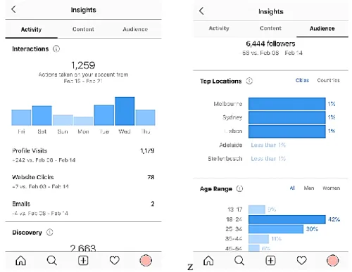 Figure 2 - Screenshots of an Instagram Analytics Dashboard