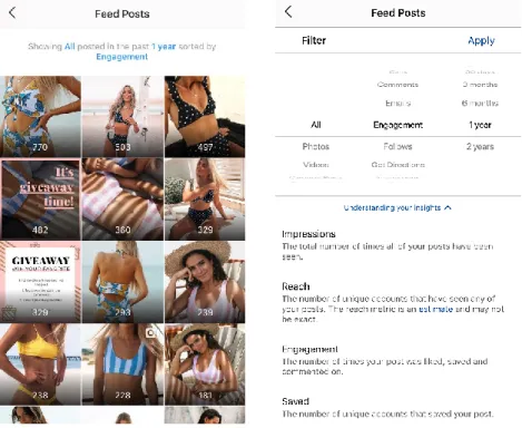 Figure 3 - Screenshots of an Instagram Content Analytics Dashboard
