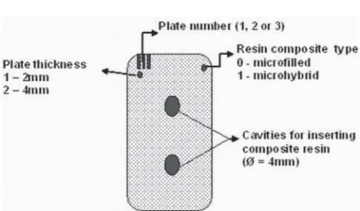 FIGURE 1- Acrylic plate with the cavities for inserting the composed resins and showing plate demarcations