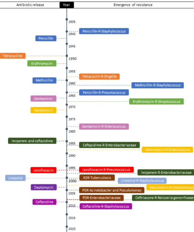 Figure 1- Timeline of antibiotic resistance showing that the introduction of each antibiotic was quickly followed  by an adaptation of bacteria