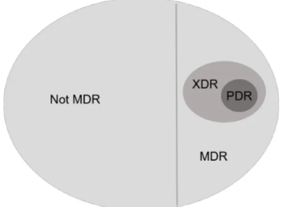 Figure 2 - Relationship between MDR, XDR and PDR to each other. Adapted from (8). 