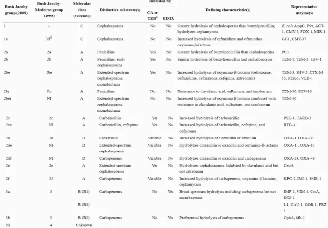 Table 1- Classification schemes for β-lactamases. Adapted from (25) 