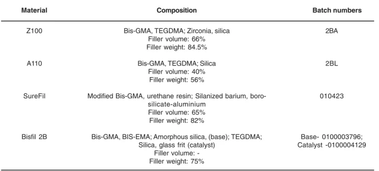 TABLE 2- Description of the experimental groups and polymerization modes