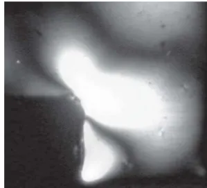 FIGURE 1- Box-shaped cavities simulating a class I preparation in transparent resin