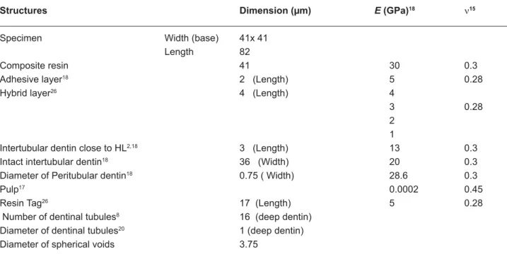 Table 1- Dimensions (Pm) and mechanical properties of the materials (E and Q) 