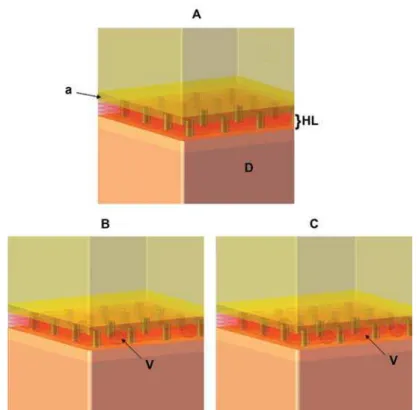 Table 2- Percentage of voids in the hybrid layer