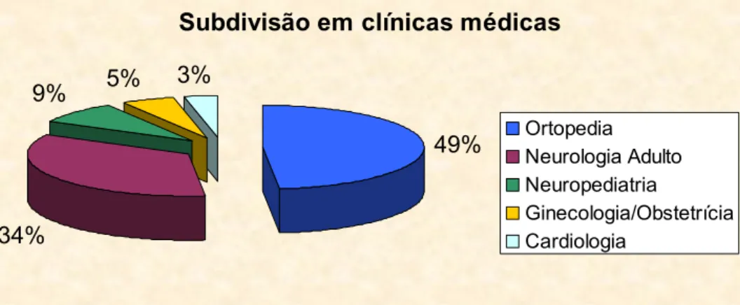 Figura 4: Gráfico de pizzas considerando a variável subdivisão em clínicas médicas