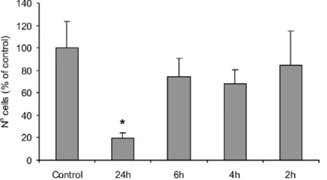 FIGURE 2- Number of cells counted in contact with artificial saliva over 2, 4, 6 and 24 h, expressed as percentage of control.
