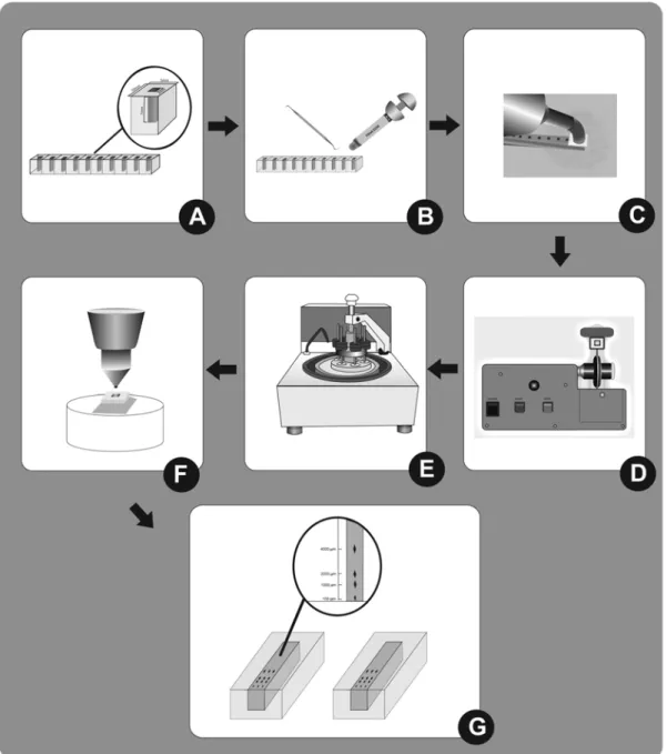 FIGURE 1- Schematic representation of experimental phase. a) Polyvinyl chloride (PVC) plates with cylindrical cavities (3.0 mm x 7.0 mm) prepared to do the specimens; b) Insertion of composite resin in the plates