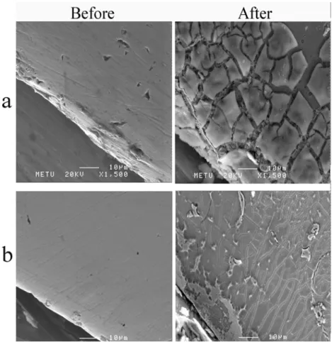 FIGURE 6- SEM images; before and after the potentiodynamic polarization tests (a) C3 (b) C4FIGURE 5- SEM images; before and after the potentiodynamic polarization tests (a) C1 (b) C2