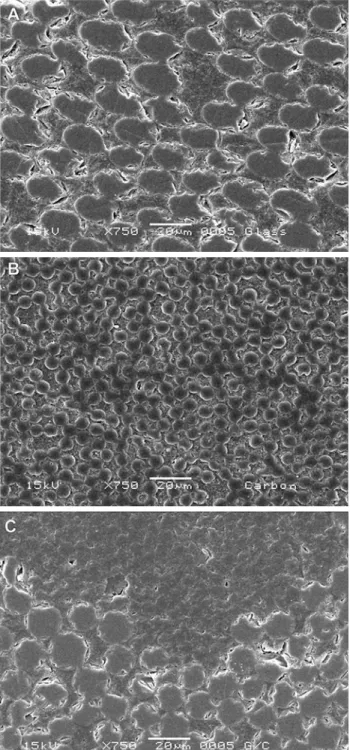 FIGURE 2- SEM micrographs of the morphological appearance of each post type. The glass fiber post (A) presented wider fibers and higher amount of organic matrix involving the fibers compared with the carbon fiber post (B).