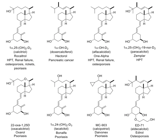 Fig. 7. Commercially available calcitriol analogs 