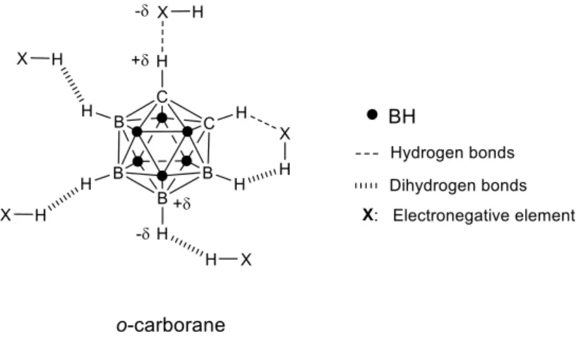 Fig. 11. Two-dimensional representation of intermolecular interactions of o-carborane