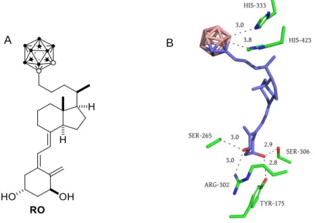 Fig. 13. A) Representation of analog RO. B) Structure of the binding pocket of zVDR LBD bound to analog RO