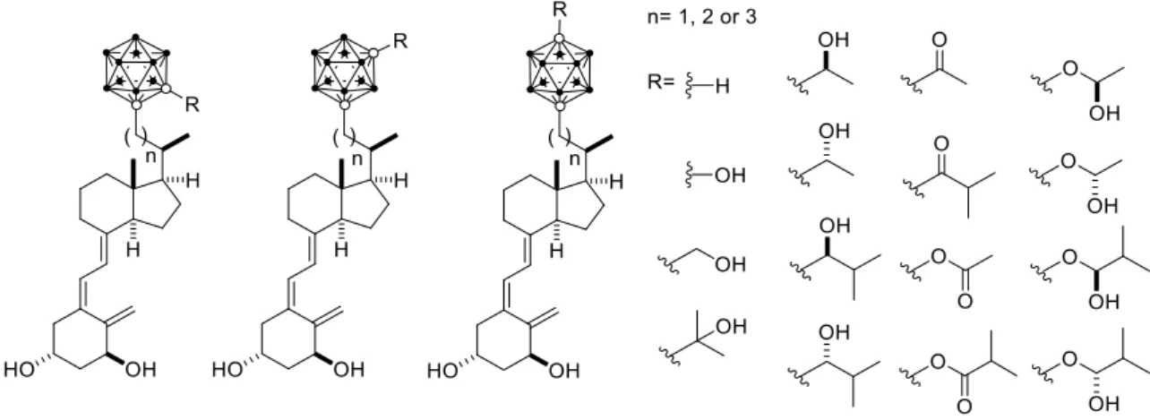 Fig. 15. Representation of carborane-containing analogs to analyze by docking in human VDR