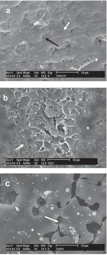 FIGURE 7- SEM micrograph of different enamel treated- treated-groups following treatment with Tyrian SPE