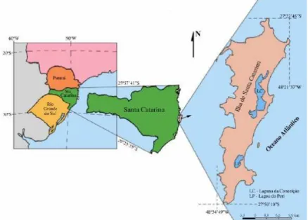 Fig. 1.1: Localização da Ilha de Santa Catarina no litoral central do Estado de Santa Catarina