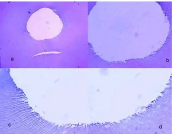 FIGURE 2-  Group II- F2 instrument associated with 2.5%