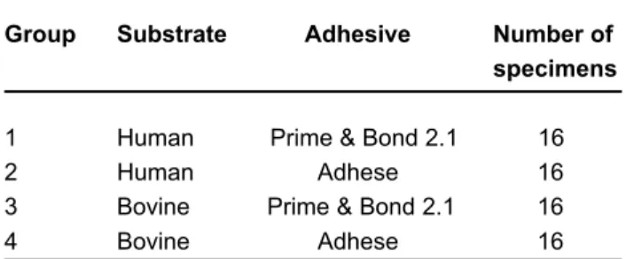 TABLE 1- Distribution of the groups according to the adhesive systems and substrates