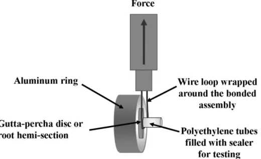 FIGURE 2- Schematic drawing of the SBS test. Placement of a nylon wire as close as possible to the gutta-percha disc or root hemi-section and stressing of the bonded assembly to failure in a universal testing machine