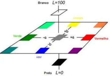 Figura 1 – Sistema de coordenadas Lab da CIE (adaptado de www.liec.iq.unesp.br). 